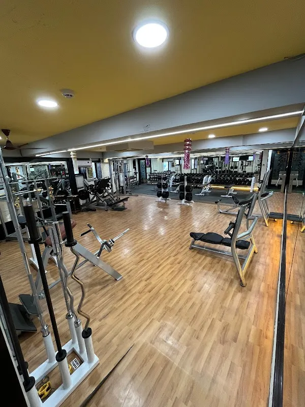 Elite Fitness Hub