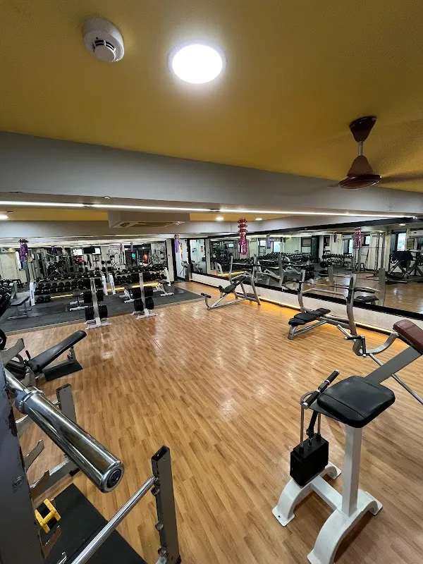 Elite Fitness Hub
