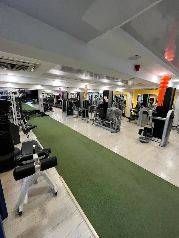 Elite Fitness Hub