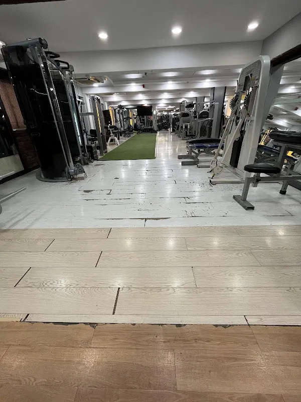 Elite Fitness Hub