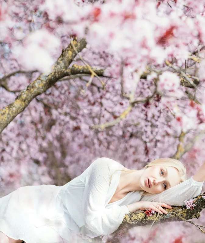 Naderi Photography