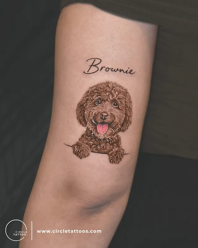 Circle Tattoo - Premium Tattoo Studio in Mumbai, Andheri