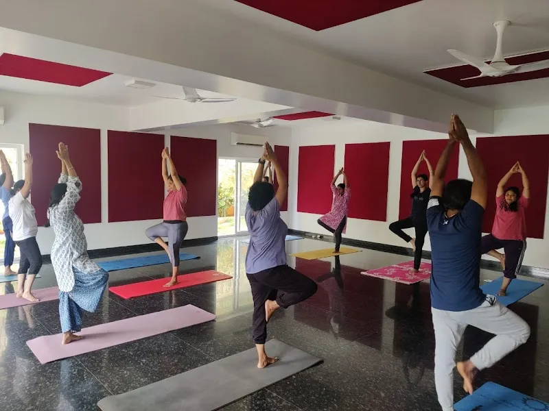 Wings of yogi