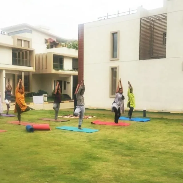 Wings of yogi