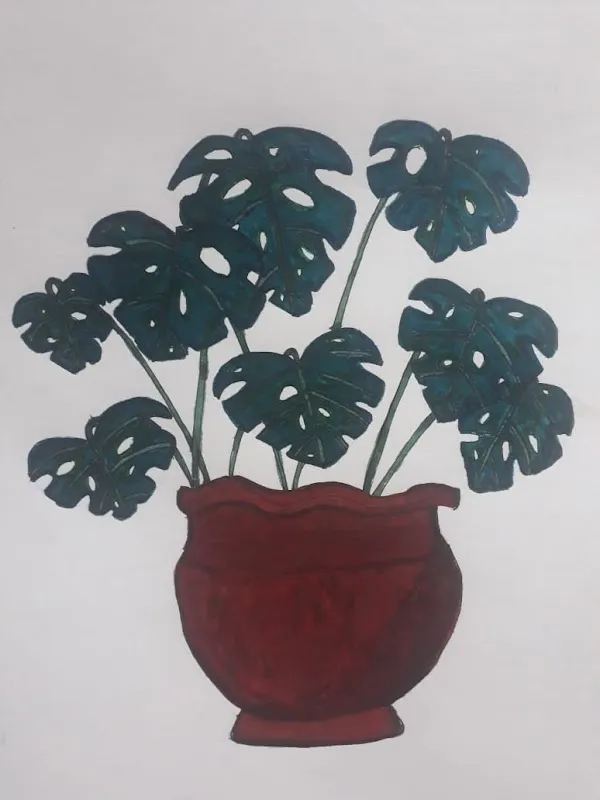 Studioviya