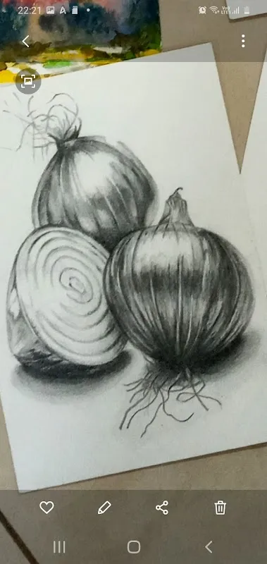 Studioviya