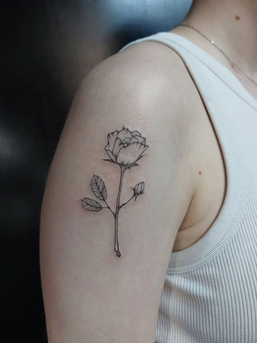 Medusa Shop Tattoo Parlour