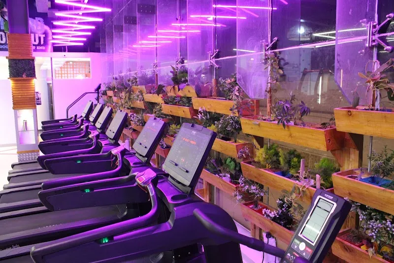 Quadz Fitness Sadashivanagar