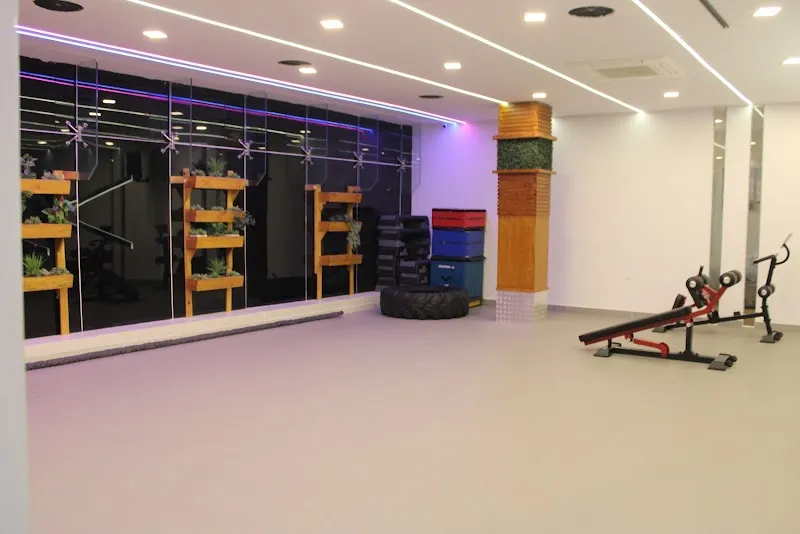 Quadz Fitness Sadashivanagar