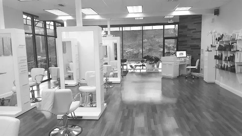 The Salon by Kenneth