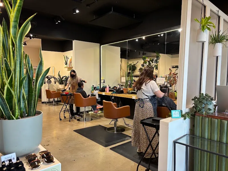 Black Orchid Salon