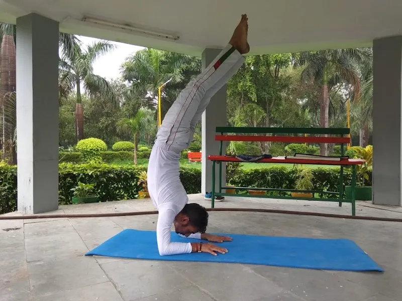 HOME YOGA CLASSES