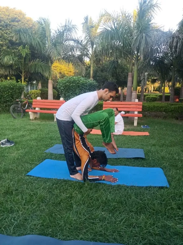 HOME YOGA CLASSES