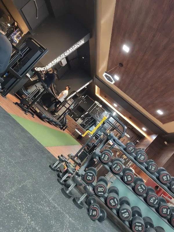 Celebrity Fitness