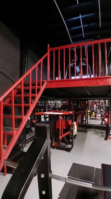 BEND THE BAR THE GYM
