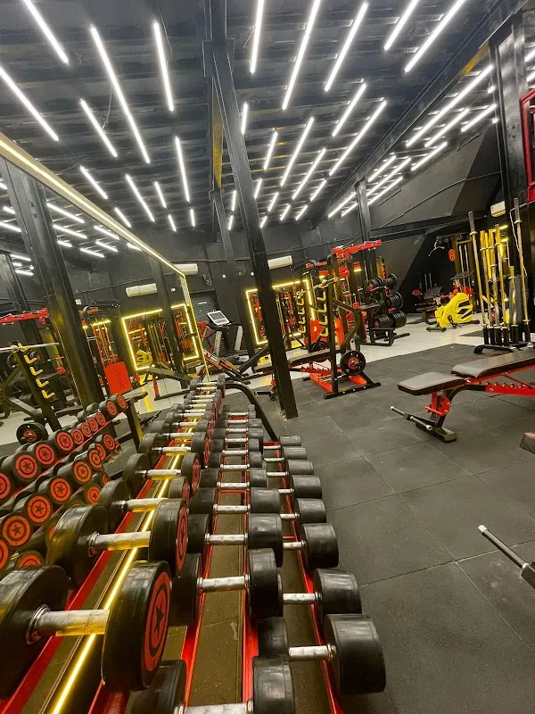 BEND THE BAR THE GYM