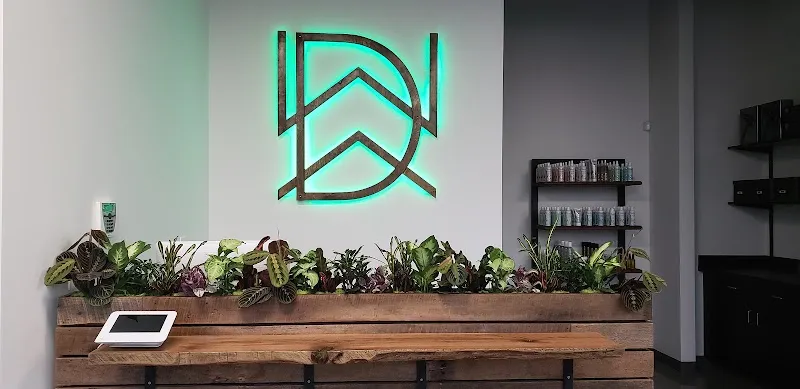 David Wenzel Salon