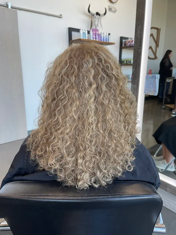 David Wenzel Salon