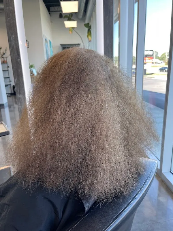 David Wenzel Salon