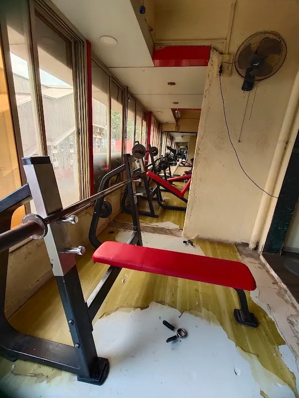 Muscle factory Gym