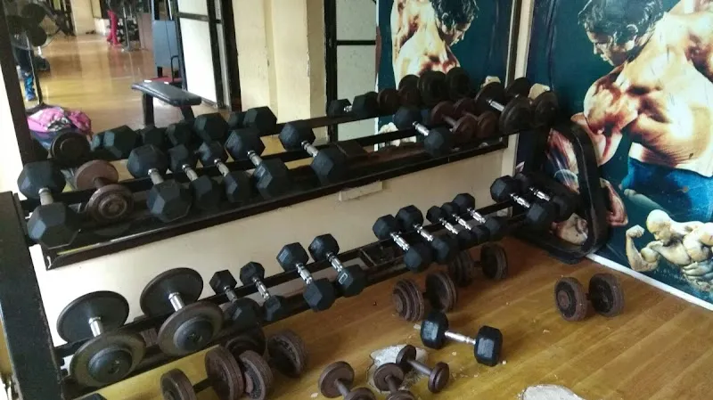 Muscle factory Gym