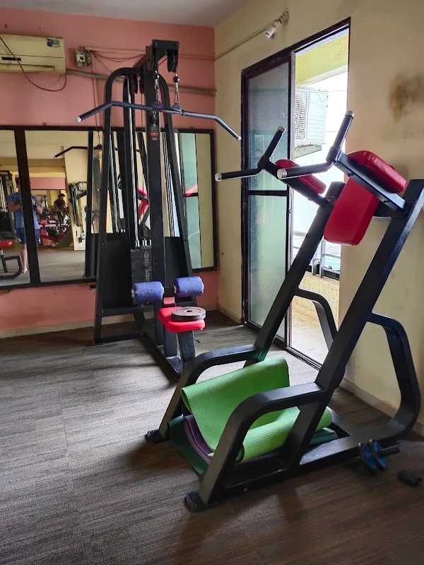 Muscle factory Gym