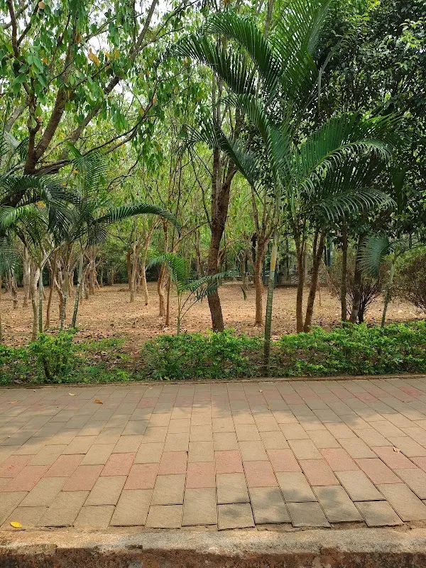 Glow Outcall Massage Spa Nagpur Spa Near me Daynight