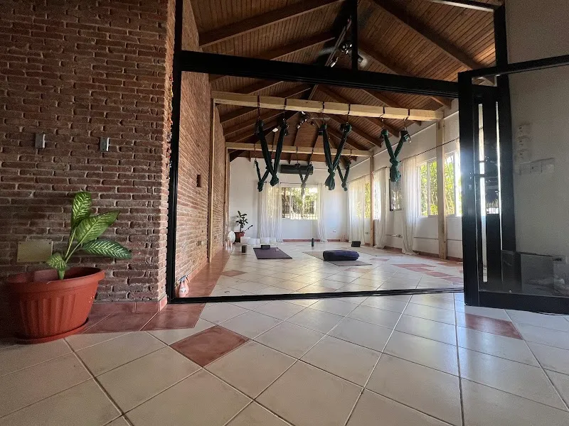Elevate Studios