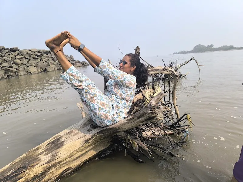 YOGvidya