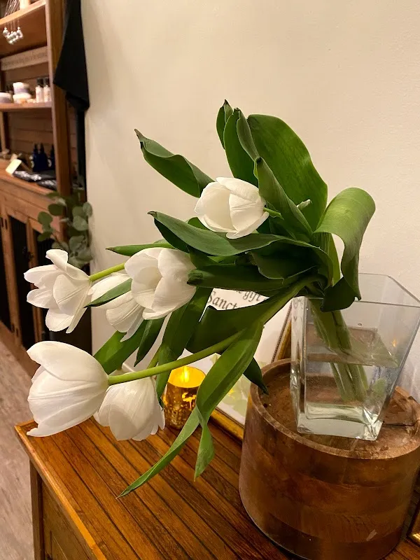 Bronxville Wellness Sanctuary