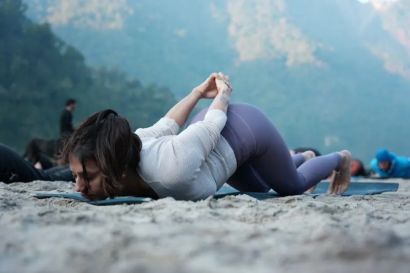 Vinyasa Yogashala - Best Yoga School in Rishikesh India