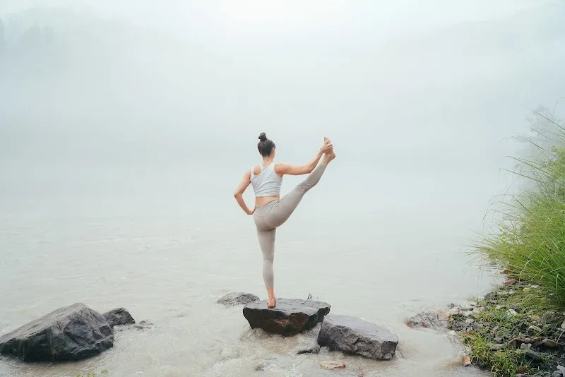 Vinyasa Yogashala - Best Yoga School in Rishikesh India