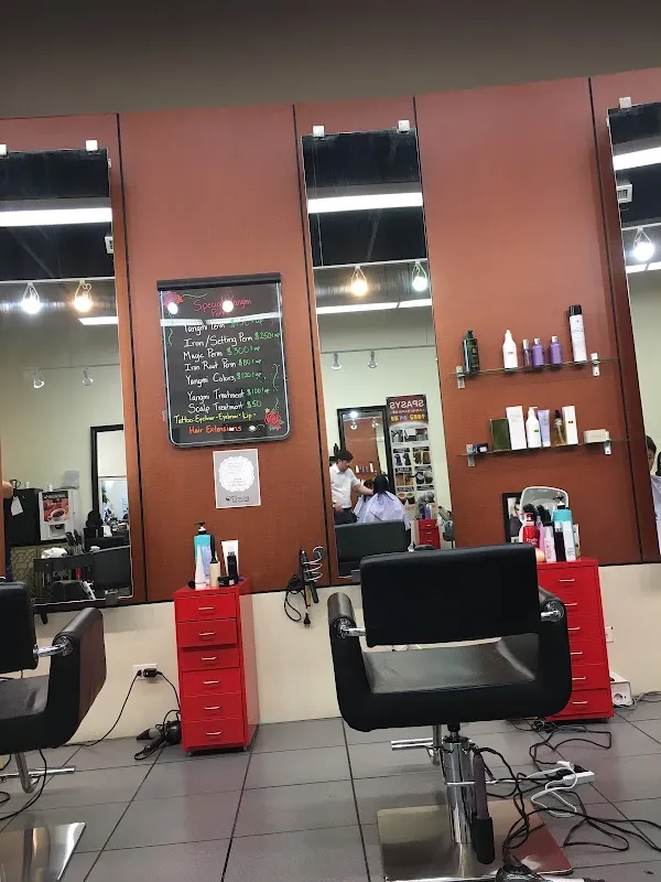 Salon Yangmi