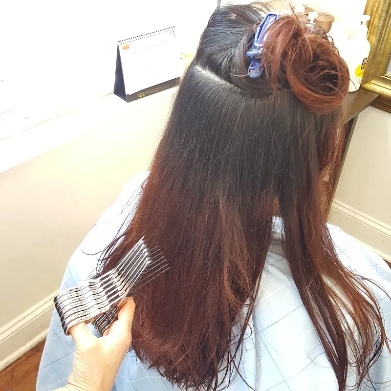 Salon Yangmi