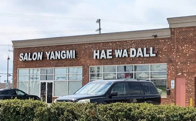 Salon Yangmi