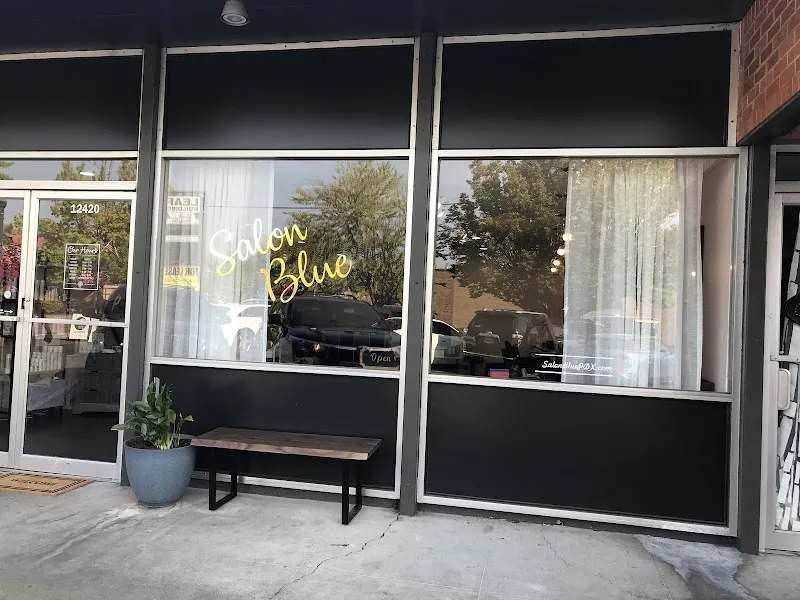 Salon Blue PDX