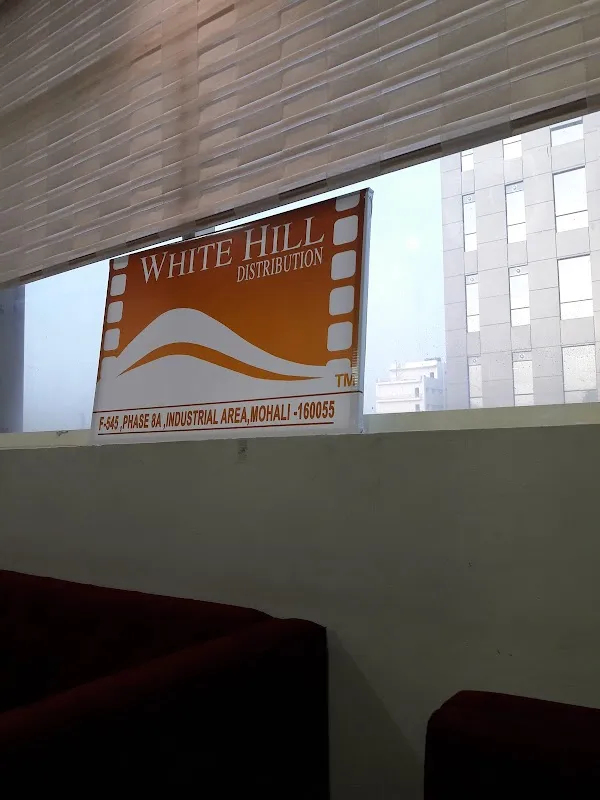 White Hill Studios Mohali