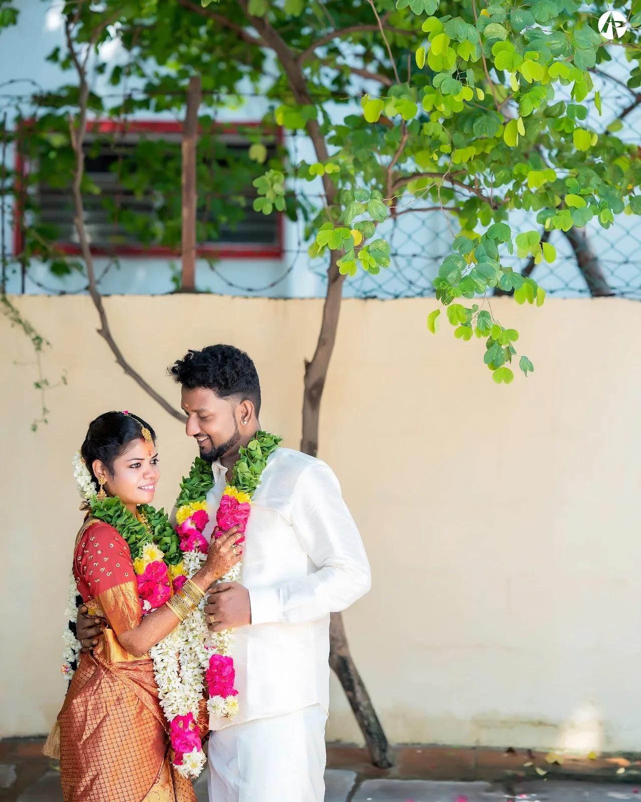 APPLIED PHOTOGRAPHERS