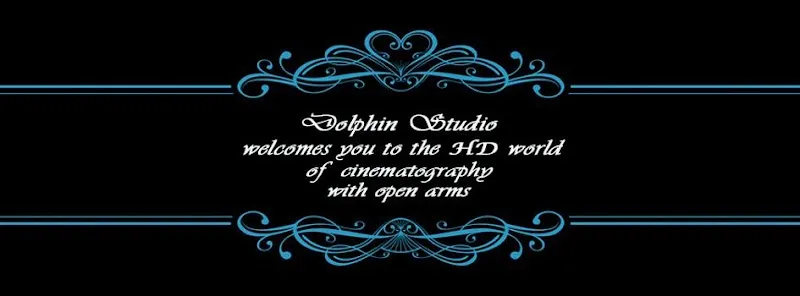 Dolphin Digital Studio