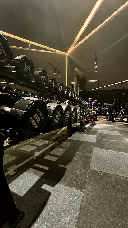 Aurum Luxury Fitness Club