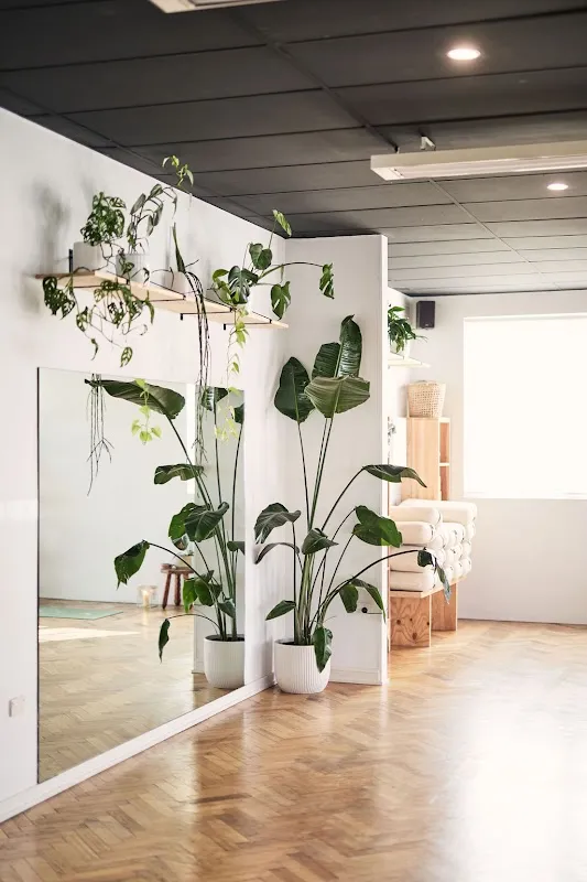 The Yoga Loft Launceston
