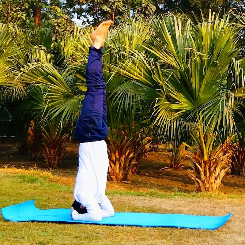 Swasth Bharat Kendra - International Yoga Training Centre