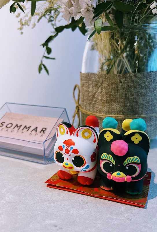 Sommar Beauty Spa (Duo Galleria branch)
