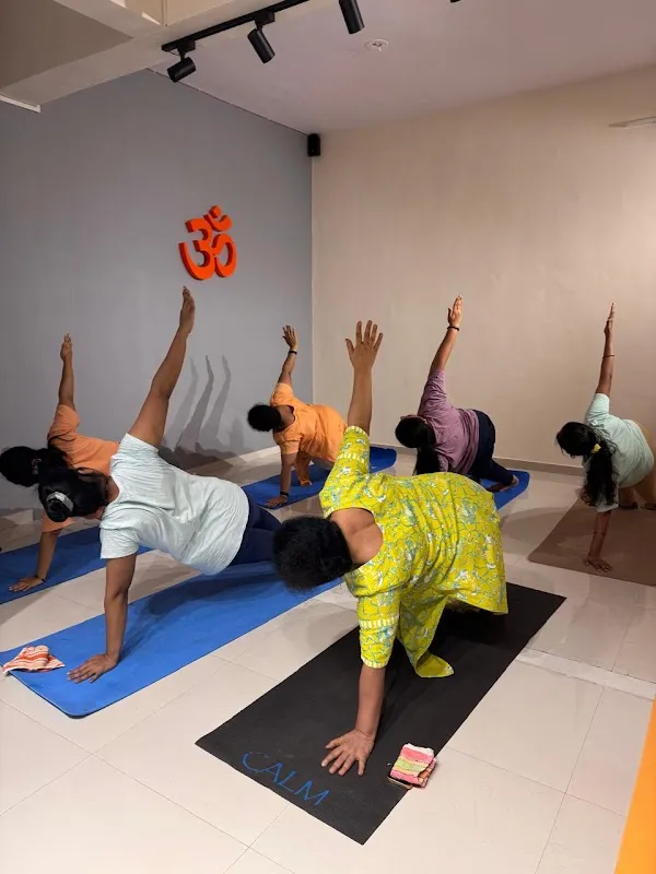 Vinee Yoga Studio Dombivli