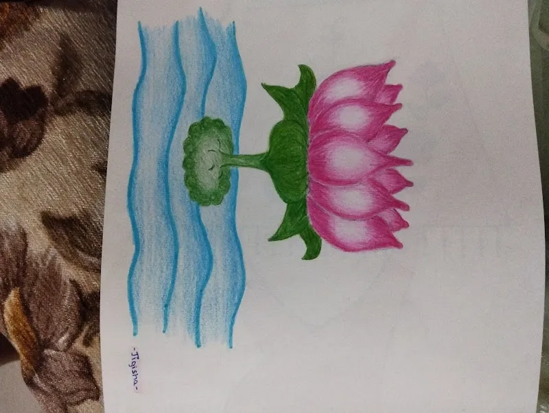 Amita Art Studio - Drawing Classes