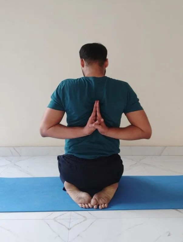 Yogvinyas-Best Online Yoga Studio