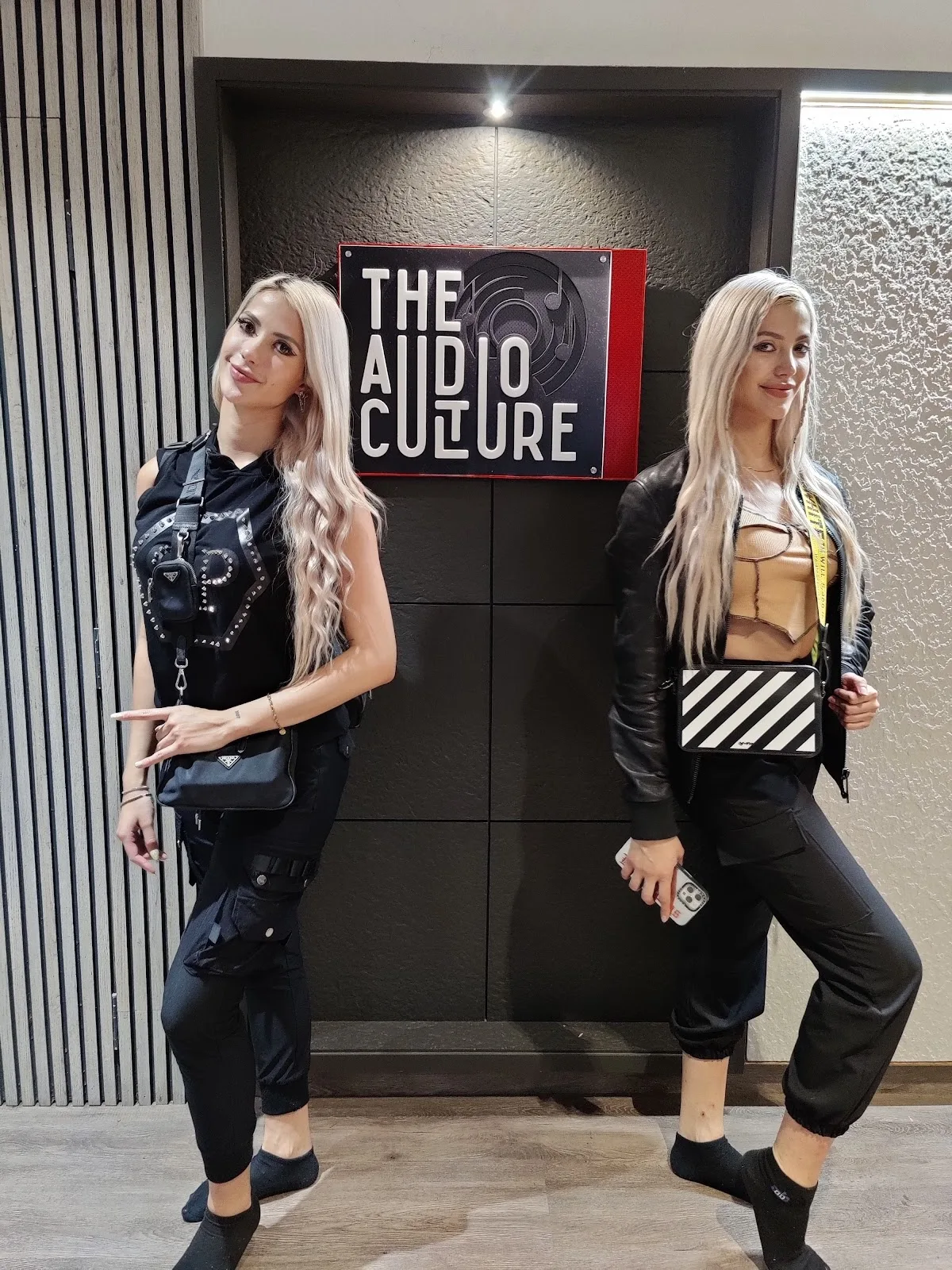 The Audio Culture