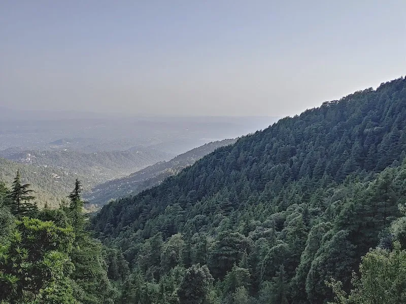 Dharamkot Studio