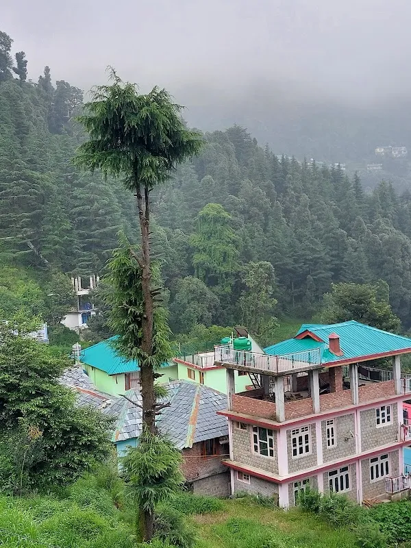 Dharamkot Studio