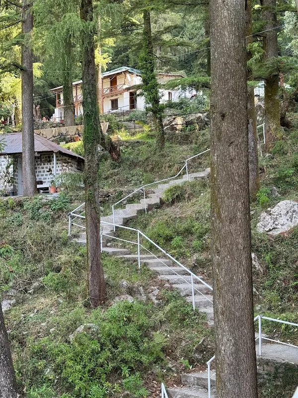 Dharamkot Studio